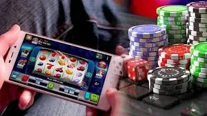 Gà lai Mỹ đá cựa sắt